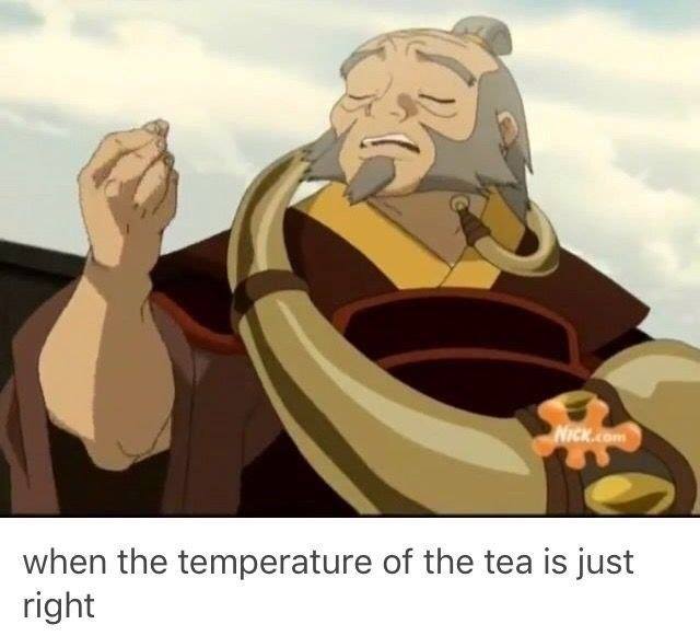 This meme is a still image from the animated TV series "Avatar: The Last Airbender". It shows a character, Iroh, from the show with a calm and satisfied expression. The text "when the temperature of the tea is just right" appears at the bottom of the image, implying that Iroh is enjoying a perfect cup of tea.